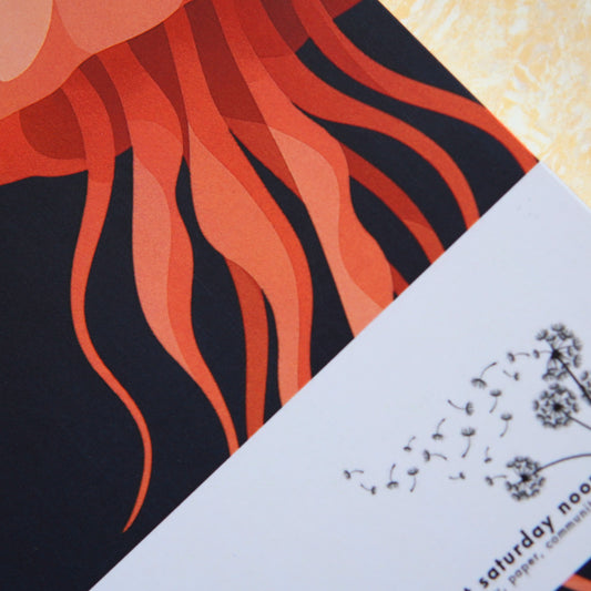 Jellyfish Notebook