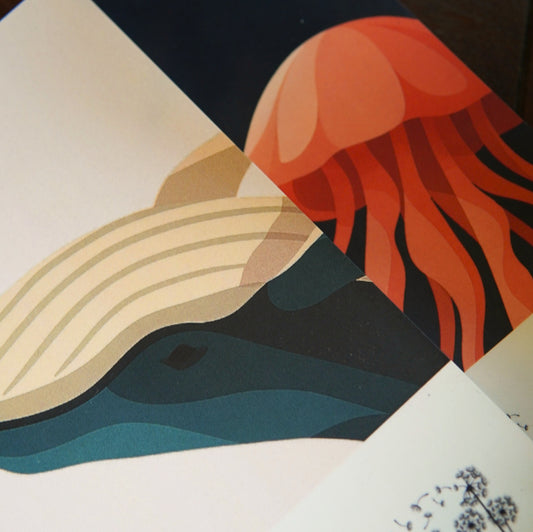 The Silent Current (Set of Two Notebooks)