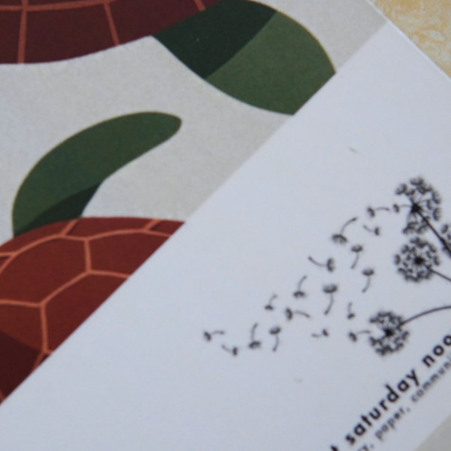 Turtle Notebook