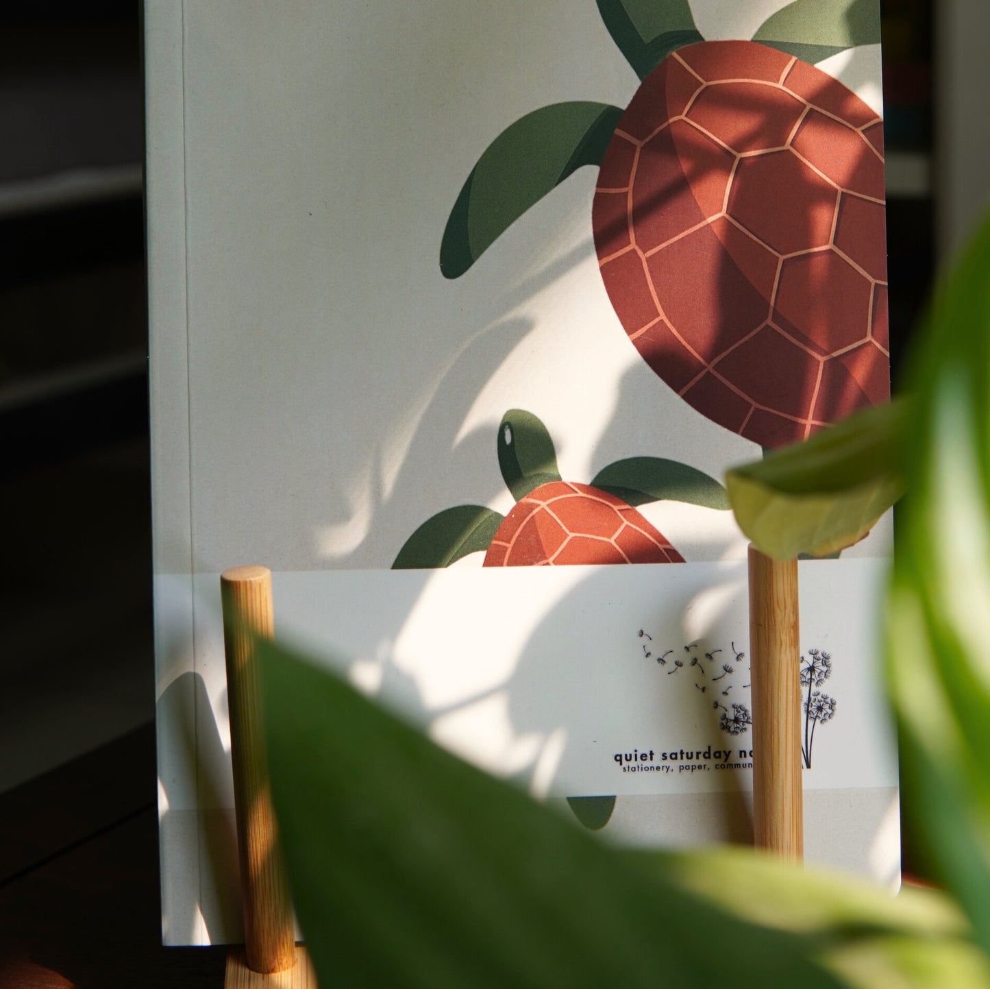 Turtle Notebook